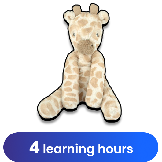 Mamas & Papas Giraffe Small Beanie Toy