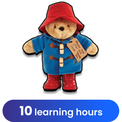 Paddington Bear Stuffed Teddy