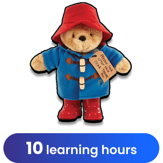 Paddington Bear Stuffed Teddy